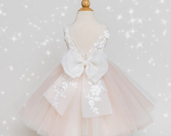 Flower girl dress, Baby dress with lace 3D, Tulle dress, Birthday dress, Wedding dress.