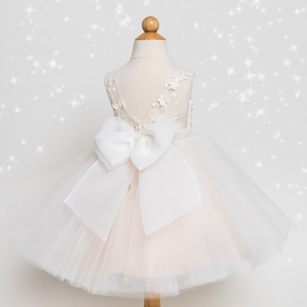 Tulle flower girl dress, Lace 3 D dress.  Blush dress,  Baby dress. Bridesmaid dress. Wedding.