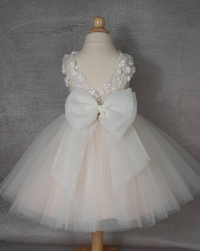 Tulle flower girl dress, Baby dress, Lace 3d dress, Birthday dress, Communion dress, Wedding. image 1