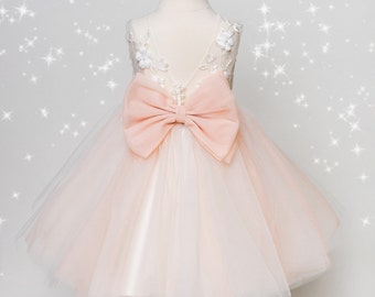 Robe de demoiselle d'honneur rose poudré, robe de bébé avec dentelle 3D, robe en tulle, robe d'anniversaire, robe de mariée.