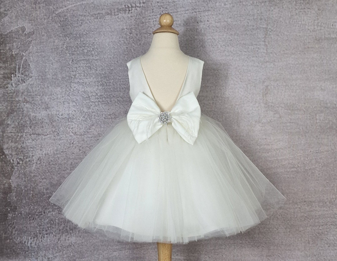 Baby Tulle Embroidered Flower Bow Dress