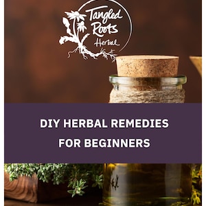 DIY Herbal Remedies for Beginners | Digital Download | Herbalist Guide for Natural Healing