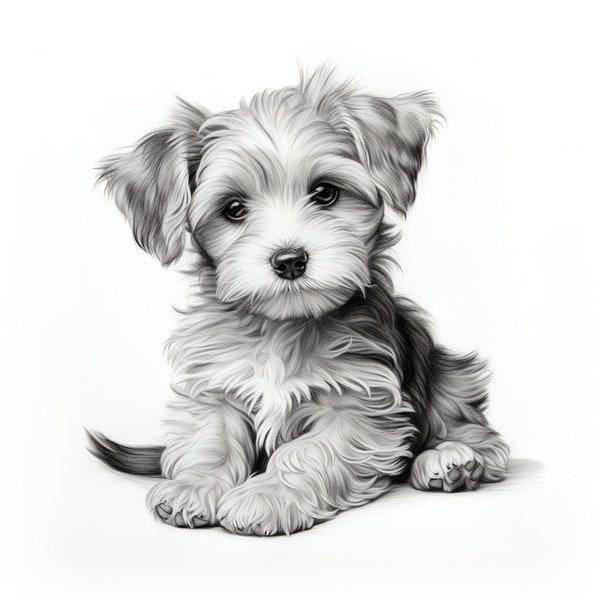 Cute Morkie puppy pencil sketch | A high-quality wall art digital download, the perfect gift for Morkie owners and dog lovers