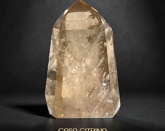 May include: A large, faceted, amber-colored crystal point with a flat base. The crystal is translucent, with internal inclusions and a polished surface. The text "CASA CITRINA" is displayed in gold lettering at the base of the image.