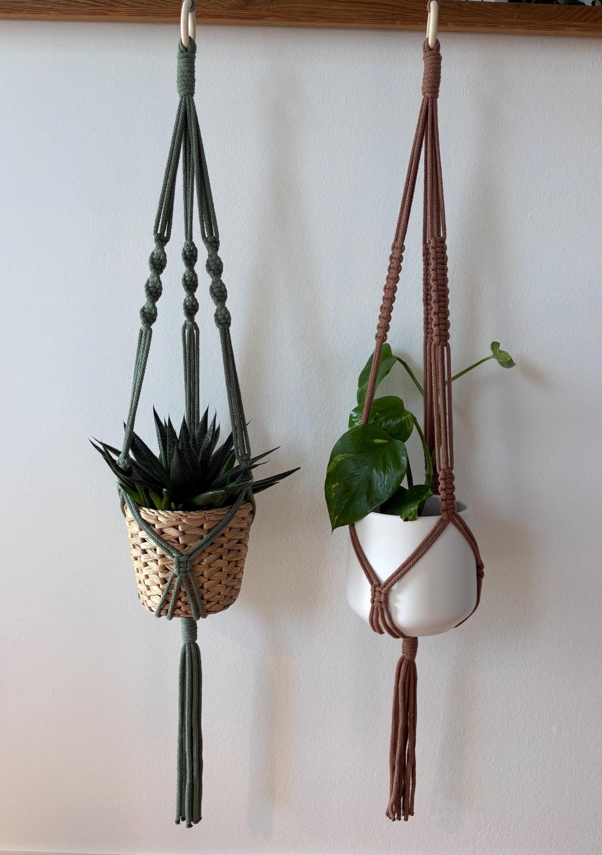 Boho zimmerpflanze - Etsy.de