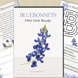 BLUEBONNET Mini Unit Study, Nature Study, Science, Handwriting, Homeschool, Montessori, Instant DOWNLOAD