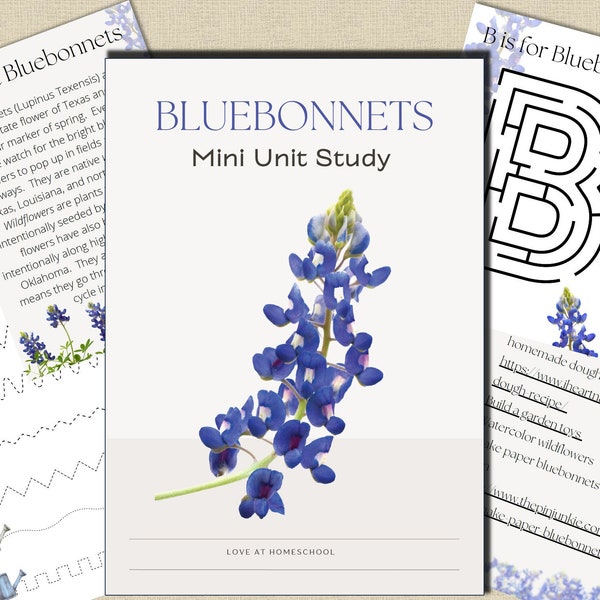 BLUEBONNET Mini Unit Study, Nature Study, Science, Handwriting, Homeschool, Montessori, Instant DOWNLOAD