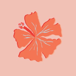 Pink Hibiscus Print
