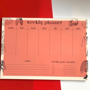 A4 Red/ orange Anatomy Science weekly student planner note pad notepad