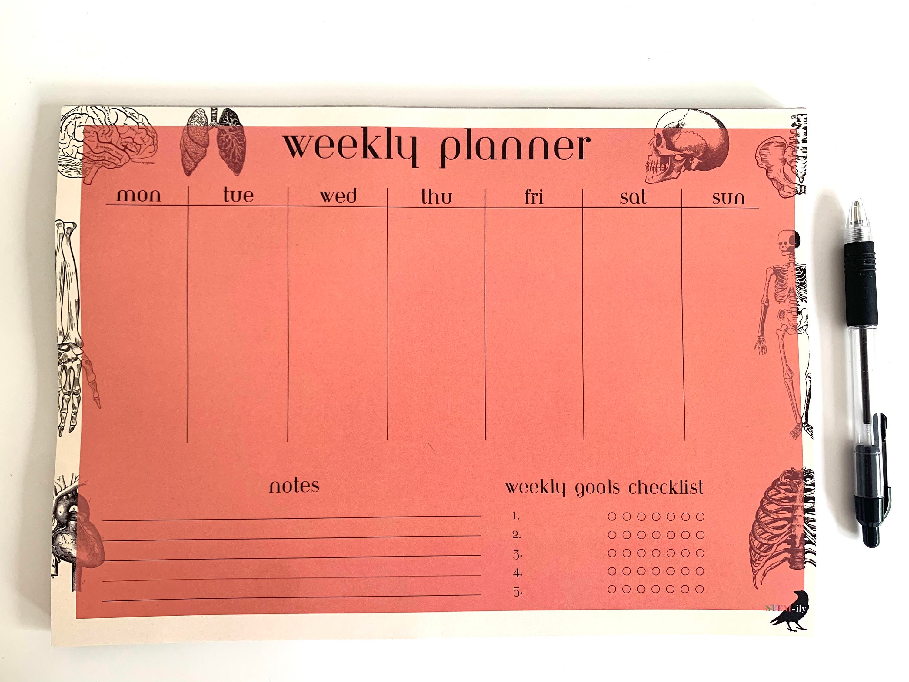 A4 Red/ Orange Anatomy Science Weekly Student Planner Note Pad Notepad - Etsy
