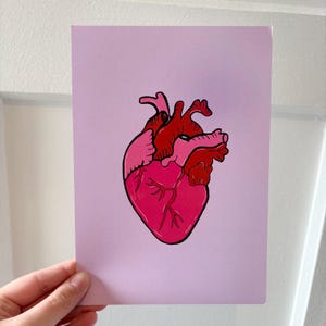 Anatomical pink and red heart hand drawn art print in A4 or A5