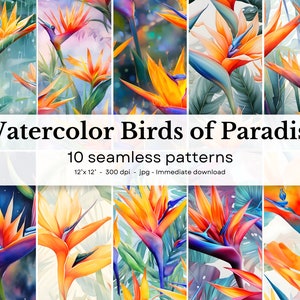 Aquarell Paradiesvogel - 10 nahtlose Muster, 30,5 x 30,5 cm, 300dpi - nahtloses digitales Papier Pack - Scrapbooking, digitaler Hintergrund