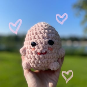 Emotional Support Crochet Egg Buddy Plushie