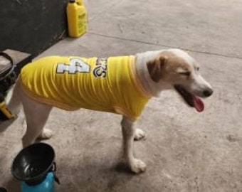 Boston Lakers Bulls | Haustier Hund Kleidung Weste T-Shirt für Hund Basketball Kleidung Mesh Tuch kleine große Haustiere | Hunde Bekleidung Shirt S-2XL
