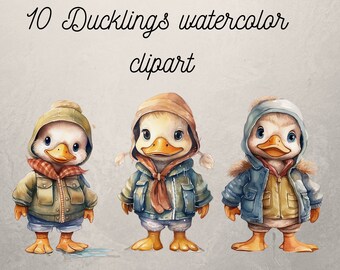 10 ducklings clipart, PNG, baby duck clipart, duckling, animal , watercolor duck, digital illustration, commercial use, digital download