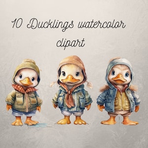 10 canetons clipart, PNG, bébé canard clipart, caneton, animal, canard aquarelle, illustration numérique, utilisation commerciale, téléchargement numérique