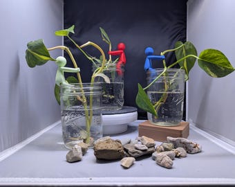 May include: Three glass jars containing clear water and green plants. Two red and blue figurines are climbing the plants. The jars are sitting on a white surface with small rocks.
