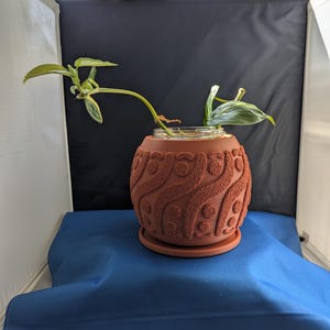 Terracotta Style Planter | Sturdy Plant Pot
