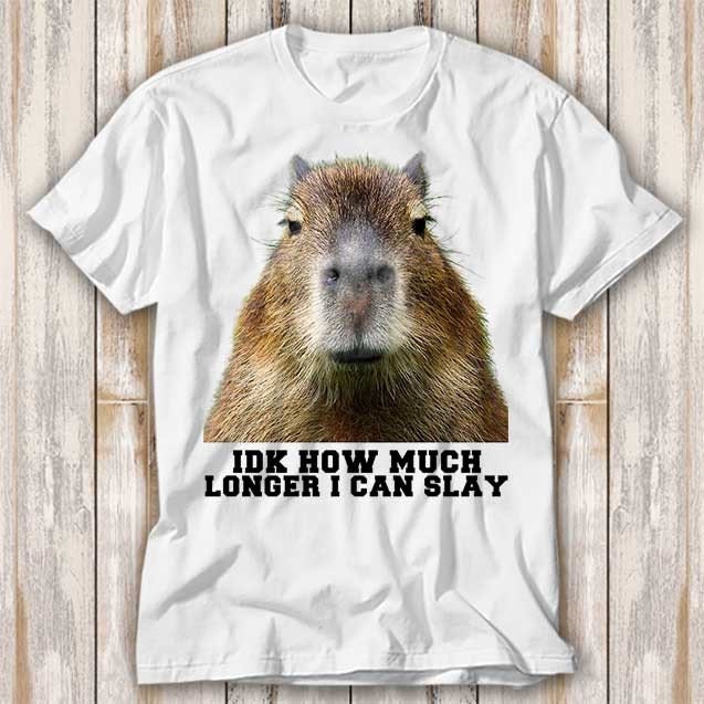 Bob a Capivara - Timeline  Capybara, Memes, Funny pictures