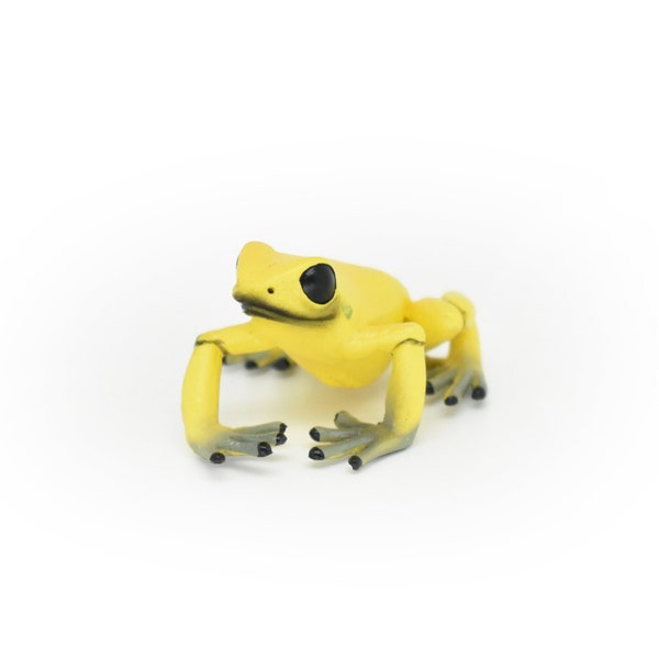 Frog, Yellow, Dart, Museum Quality, Realistic, Rubber, Amphibian Design, Educational, Hand Painted,  Lifelike, Model, Gift,  2"  CWG247 B239