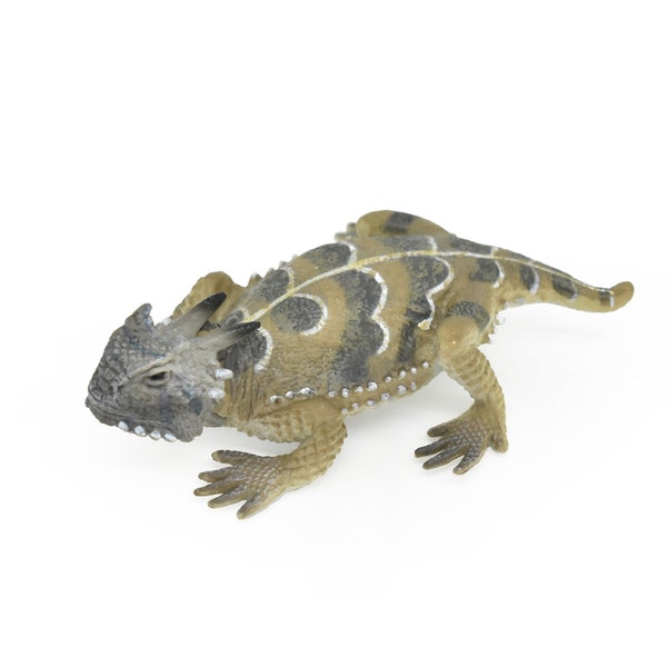 Horned Lizard, Horny Toad, Museum Quality, Realistic, Rubber Reptile, Design, Educational, Hand Painted, Lifelike, Gift,  4"   CWG244 B239