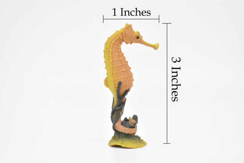 Seahorse, Hippocampus, Plastic Sea Horse Design, Realistic Figure, Educational, Figure, Lifelike, Model, Figurine, Gift, 3 CWG274 B46 image 2