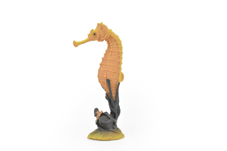 Seahorse, Hippocampus, Plastic Sea Horse Design, Realistic Figure, Educational, Figure, Lifelike, Model, Figurine, Gift, 3 CWG274 B46 image 1