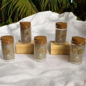 Può includere: Cinque barattoli di vetro trasparente con coperchi in sughero, ciascuno contenente una sostanza grigio chiaro e un elemento decorativo in legno. I barattoli sono disposti su una superficie bianca, con uno sfondo di fogliame verde. Gli elementi in legno includono un cactus, palme, fiori, corone e soli.