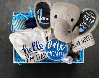 Personalized Baby Gift Basket, Birth Stat Elephant, Newborn Clothes Set