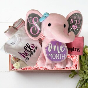 Newborn Gift Basket, New Baby Gift Set, Birth Stat Elephant, Baby Shower Gift Set, Custom Girl Clothes, Baby Gift Basket, Monthly Milestone