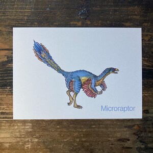 M - Alphabet-Postkarte “Microraptor” - Kunstdruck Dinosaurier A6, Aquarell, Kinder Illustration, Lernkarte, ABC, Buchstaben, Postkarte