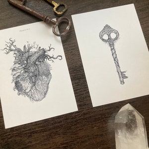 Postkartenset „Hearts pt. I“, 2 Karten A6, s/w illustration, Herz, Wald, Natur Liebe, Farn, Pilze, Schloss und Schlüssel, dark academia