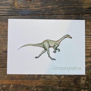 C - Alphabet-Postkarte “Compsognathus” - Kunstdruck Dinosaurier DINA6, Aquarell, Kinder Illustration, Lernkarte, ABC, Buchstaben, Postkarte