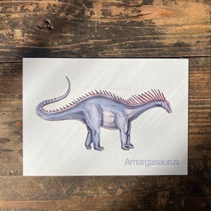 A - Alphabet-Postkarte  “Amargasaurus” - Kunstdruck Dinosaurier DINA6, Aquarell, Kinder Illustration, Lernkarte, ABC, Buchstaben, Postkarte