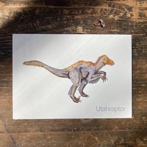 U - Alphabet-Postkarte “Utahraptor” - Kunstdruck Dinosaurier A6, Aquarell, Kinder Illustration, Lernkarte, ABC, Buchstaben, Postkarte