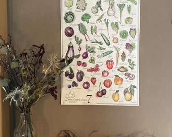 A3 seasonal calendar colorful with regional fruit, vegetables & salad - reusable, sustainable, hand illustrated, vintage aesthetic