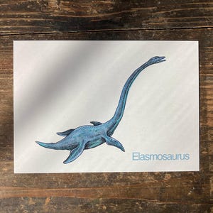 E - Alphabet-Postkarte “Elasmosaurus” - Kunstdruck Dinosaurier DINA6, Aquarell, Kinder Illustration, Lernkarte, ABC, Buchstaben, Postkarte