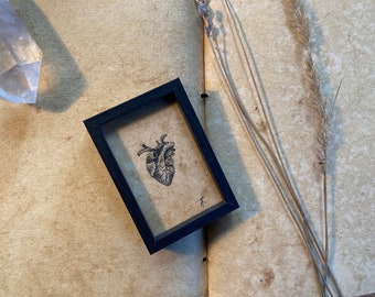 Small original ink drawing with frame “tiny hearts XII” - mini artwork, hand drawing anatomical heart, gift, dark academia