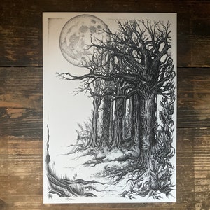 Kunstdruck “into the woods” - A4 A3, s/w Illustration, Märchenwald, Dark Art, witchy vibes, Dark Cottagecore Ästhetik
