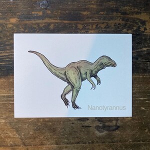 N - Alphabet-Postkarte “Nanotyrannus” - Kunstdruck Dinosaurier A6, Aquarell, Kinder Illustration, Lernkarte, ABC, Buchstaben, Postkarte