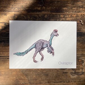 O - Alphabet-Postkarte “Oviraptor” - Kunstdruck Dinosaurier A6, Aquarell, Kinder Illustration, Lernkarte, ABC, Buchstaben, Postkarte