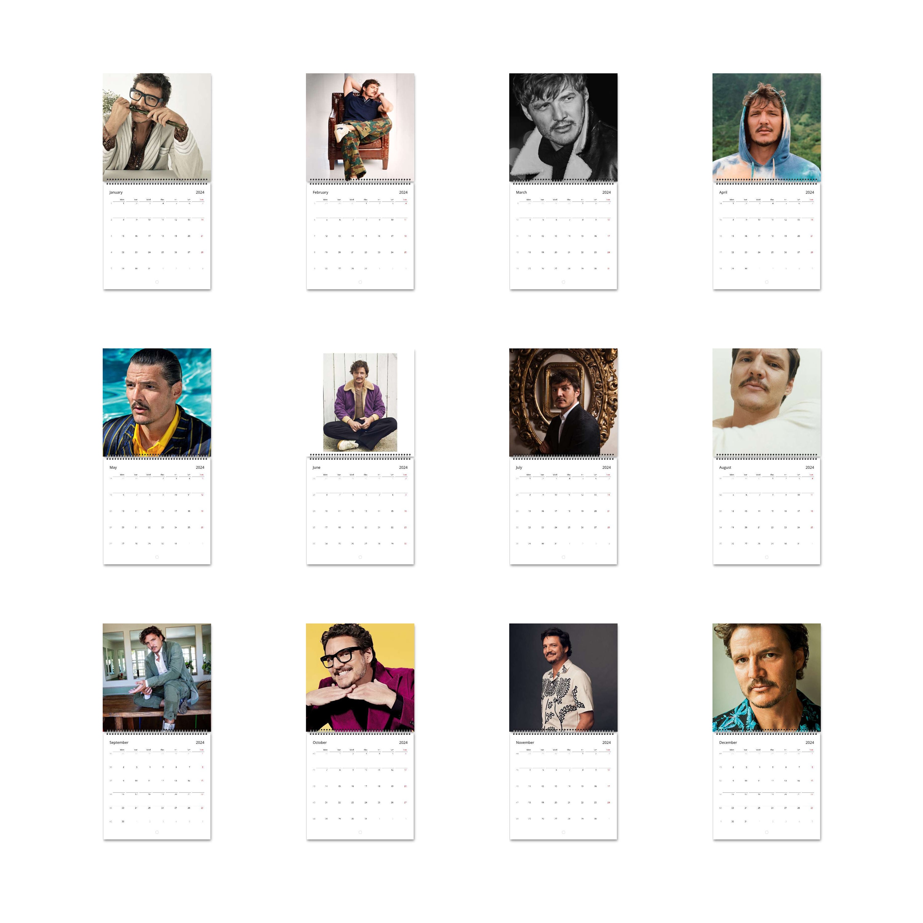 pedro-pascal-calendar-2024-calendar-wall-calendar-2024-planner-2024