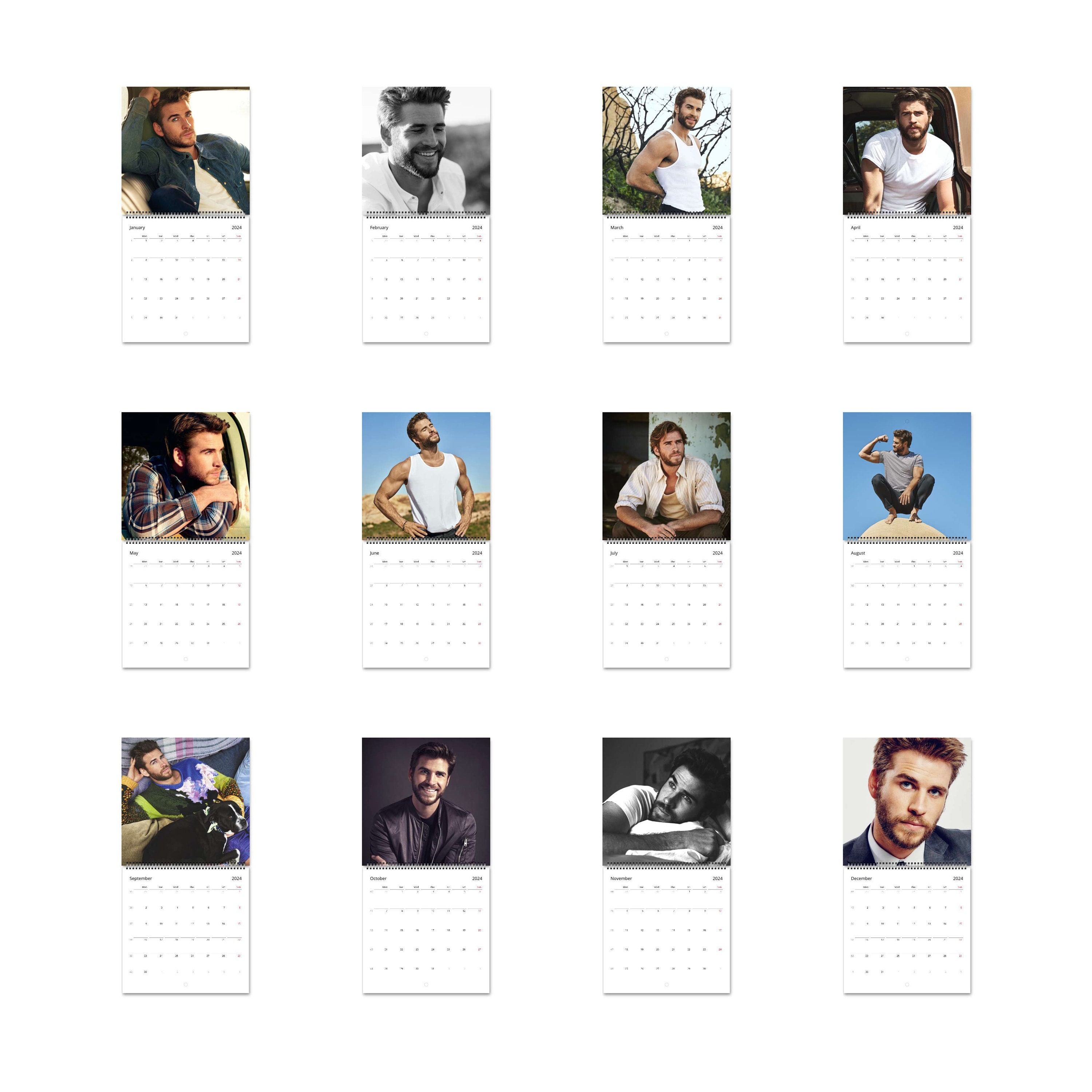 Liam Hemsworth Calendar Vol.1 2024 Calendar, Wall Calendar 2024 sold