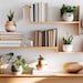 Natural Oasis Bookshelf: Zoom Background | | Blur & No Blur | Streaming ...