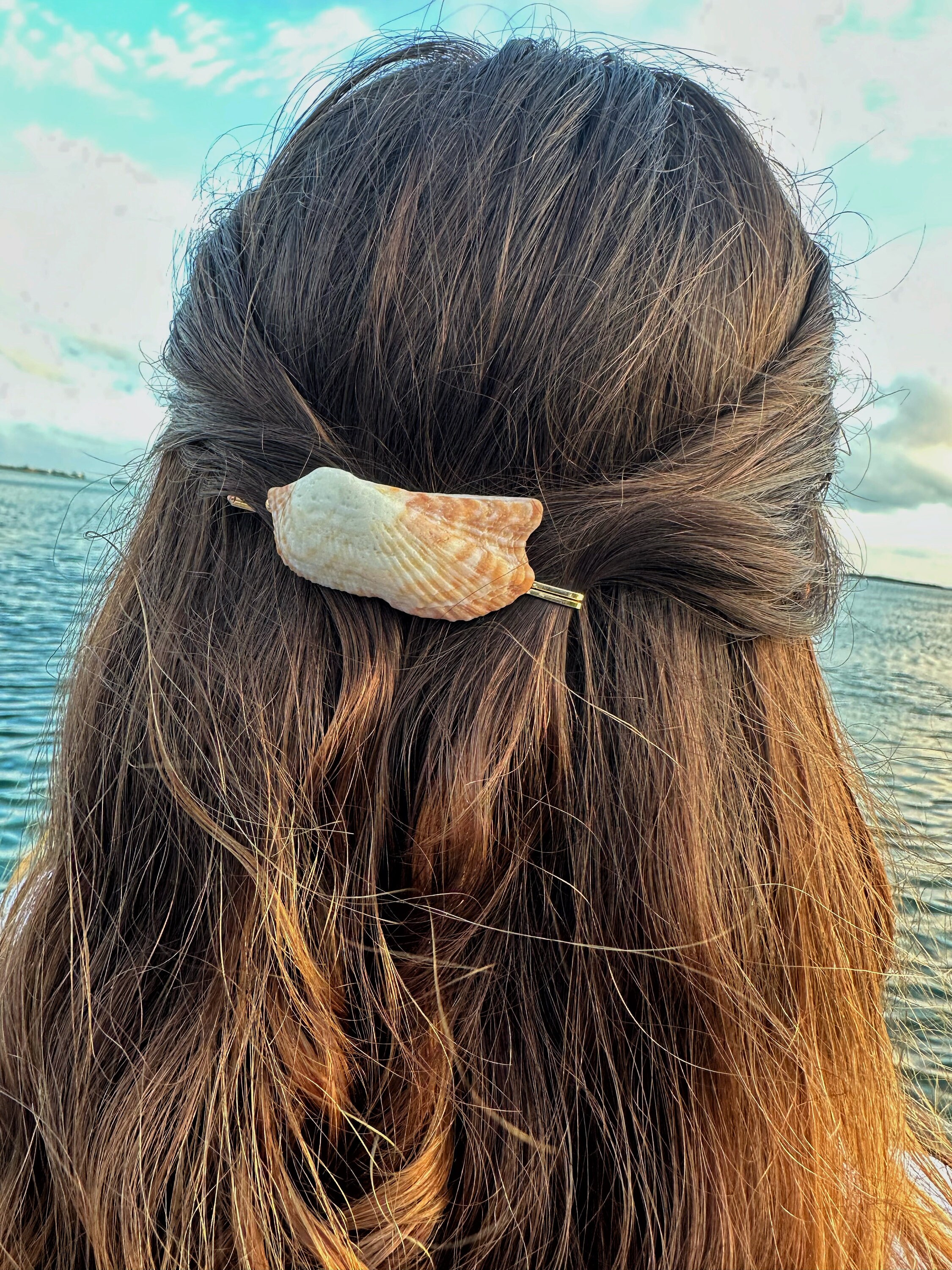 Seashell Barrette Turkey Wing Shell - Etsy