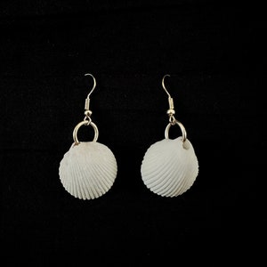 May include: A pair of white seashell earrings with gold-toned hooks.