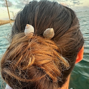 Seashell Bobby Pin Hairpin Gold or Silver - Choice of Shell