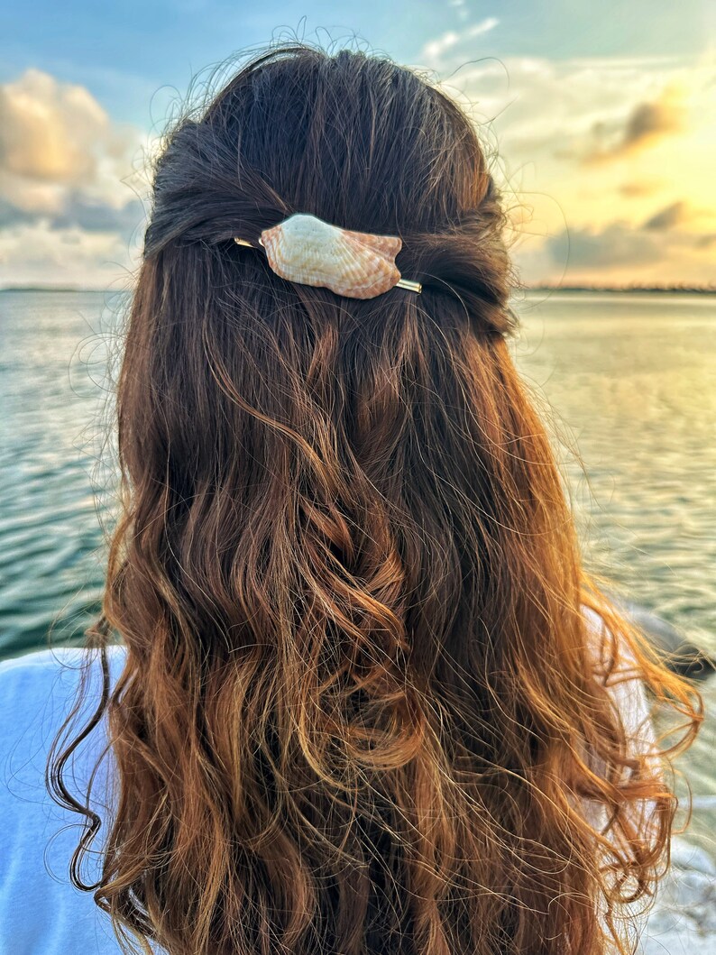 Seashell Barrette Turkey Wing Shell - Etsy