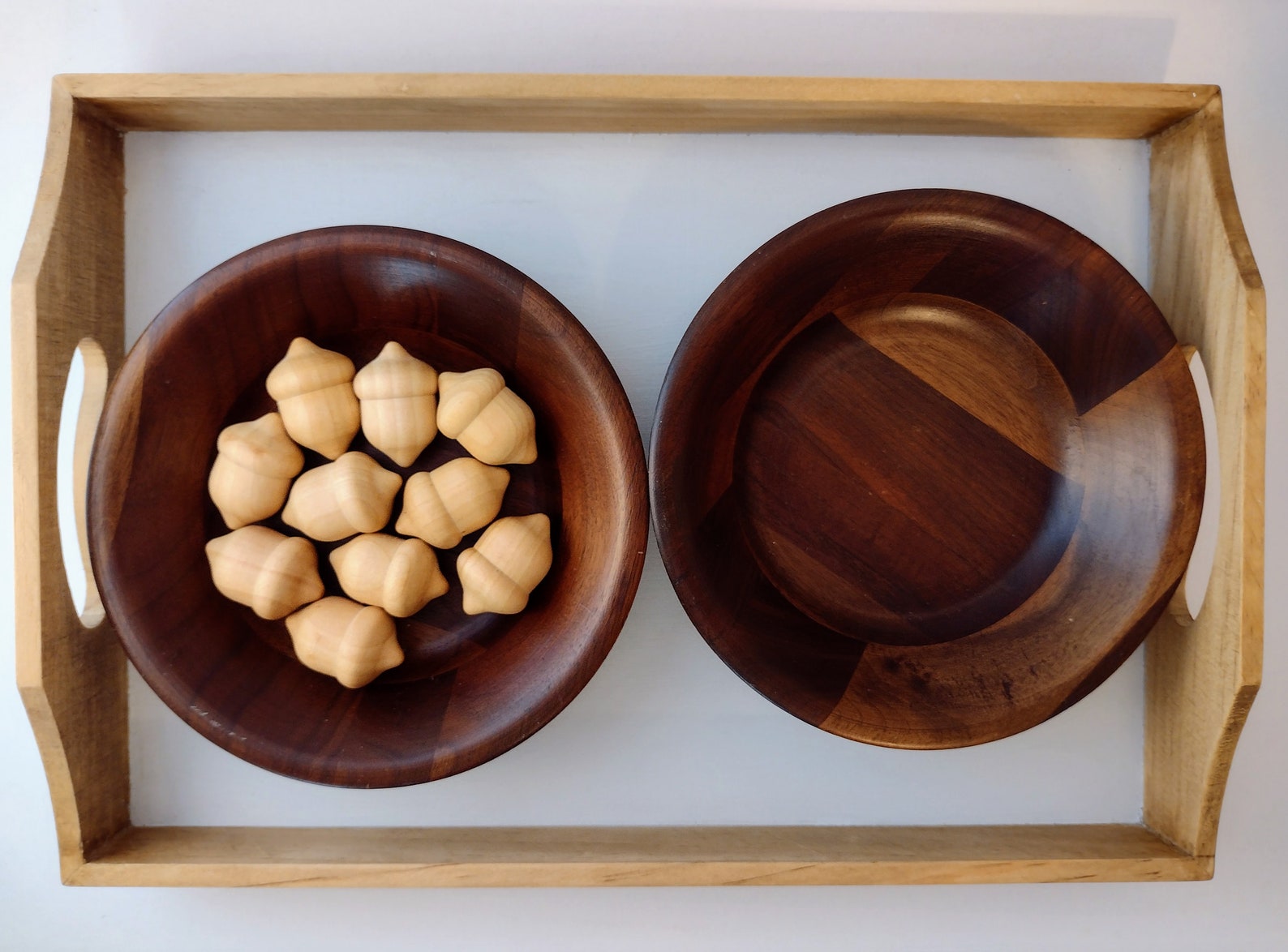 Acorn Transfer- Montessori Materials- Practical Life Lesson- Finger ...