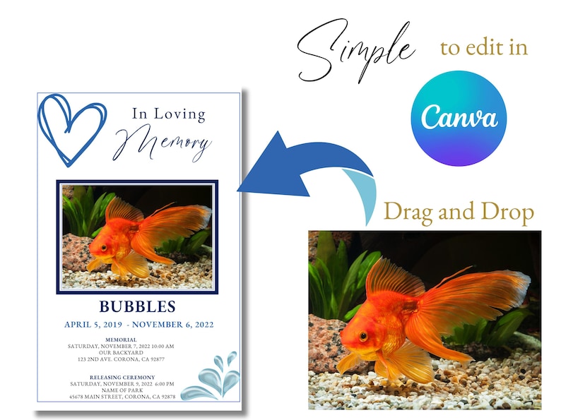 Fish Funeral Program Design Wet Pet Fish Funeral Program Template | Editable Canva (instant ...